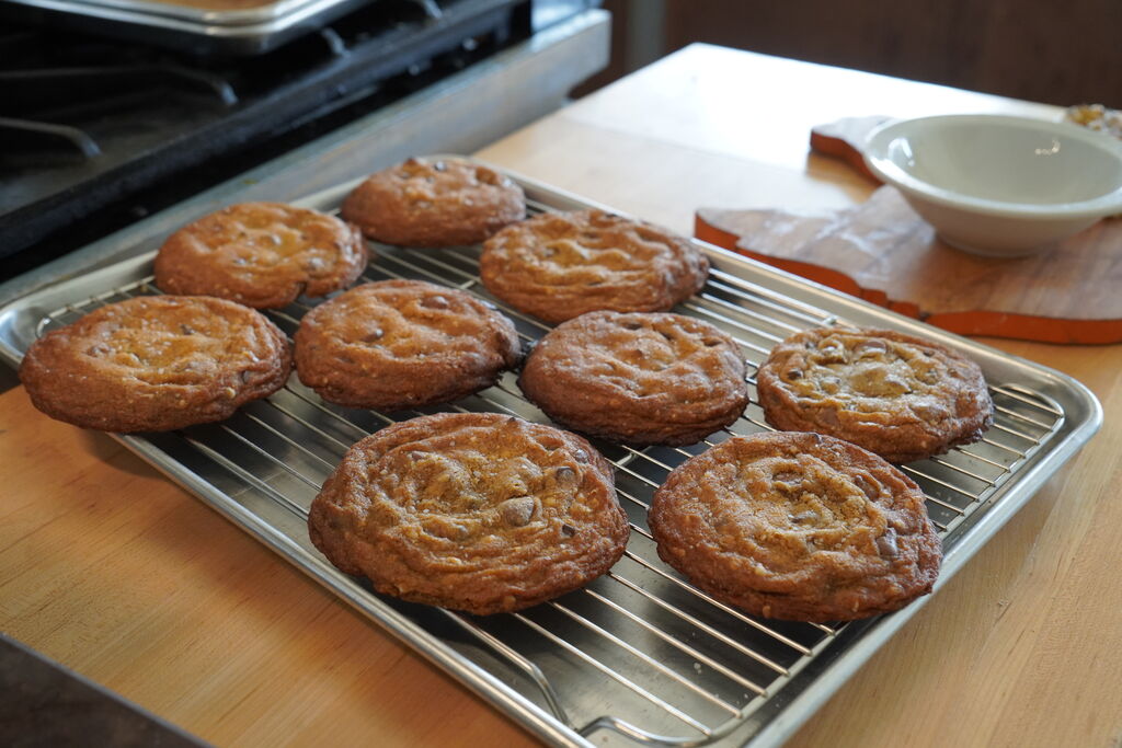 Tray of fresh-baked chocolate chip cookies on a cooling rack